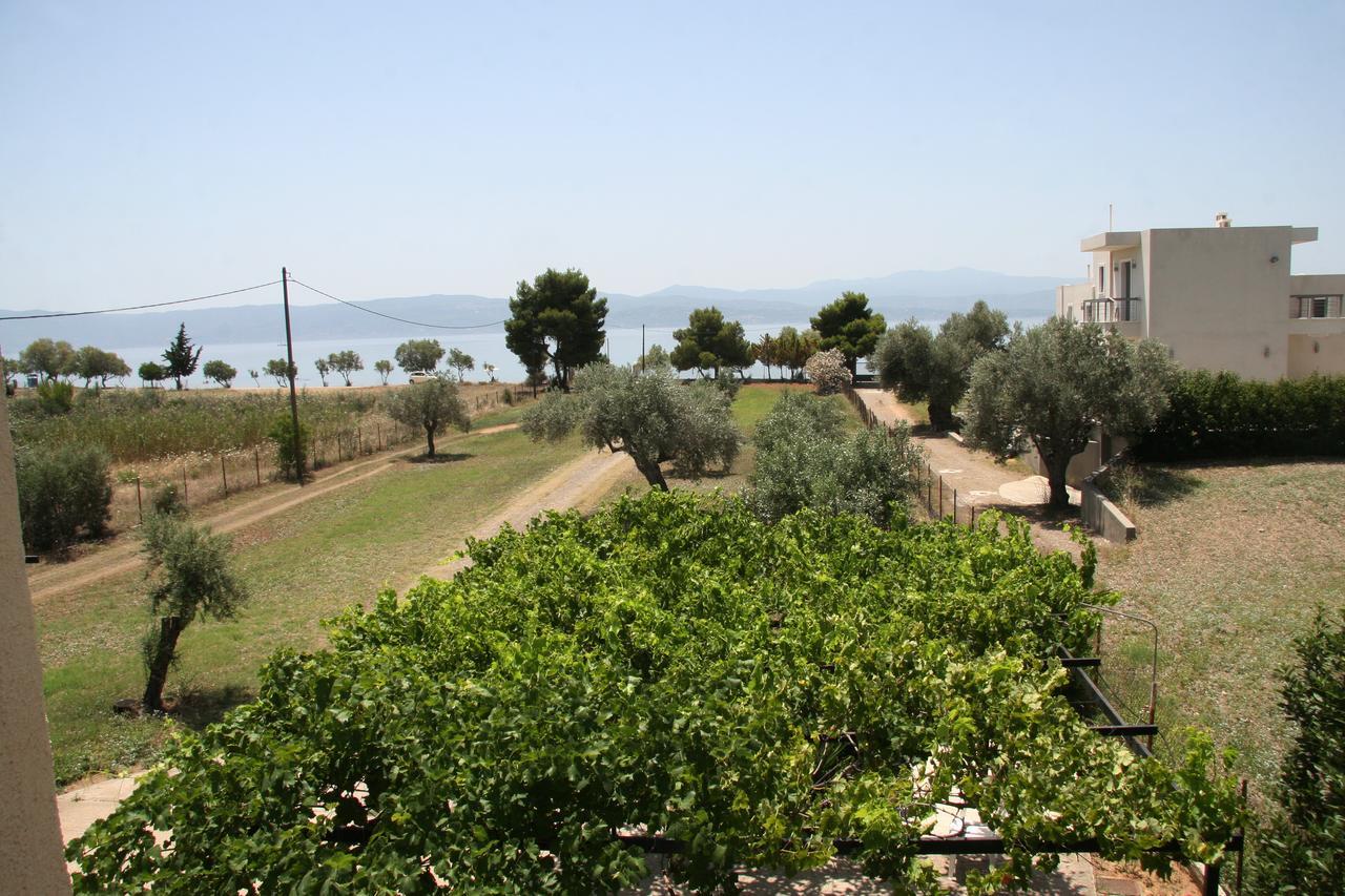 Villa Vlichos Αμάρυνθος Εξωτερικό φωτογραφία