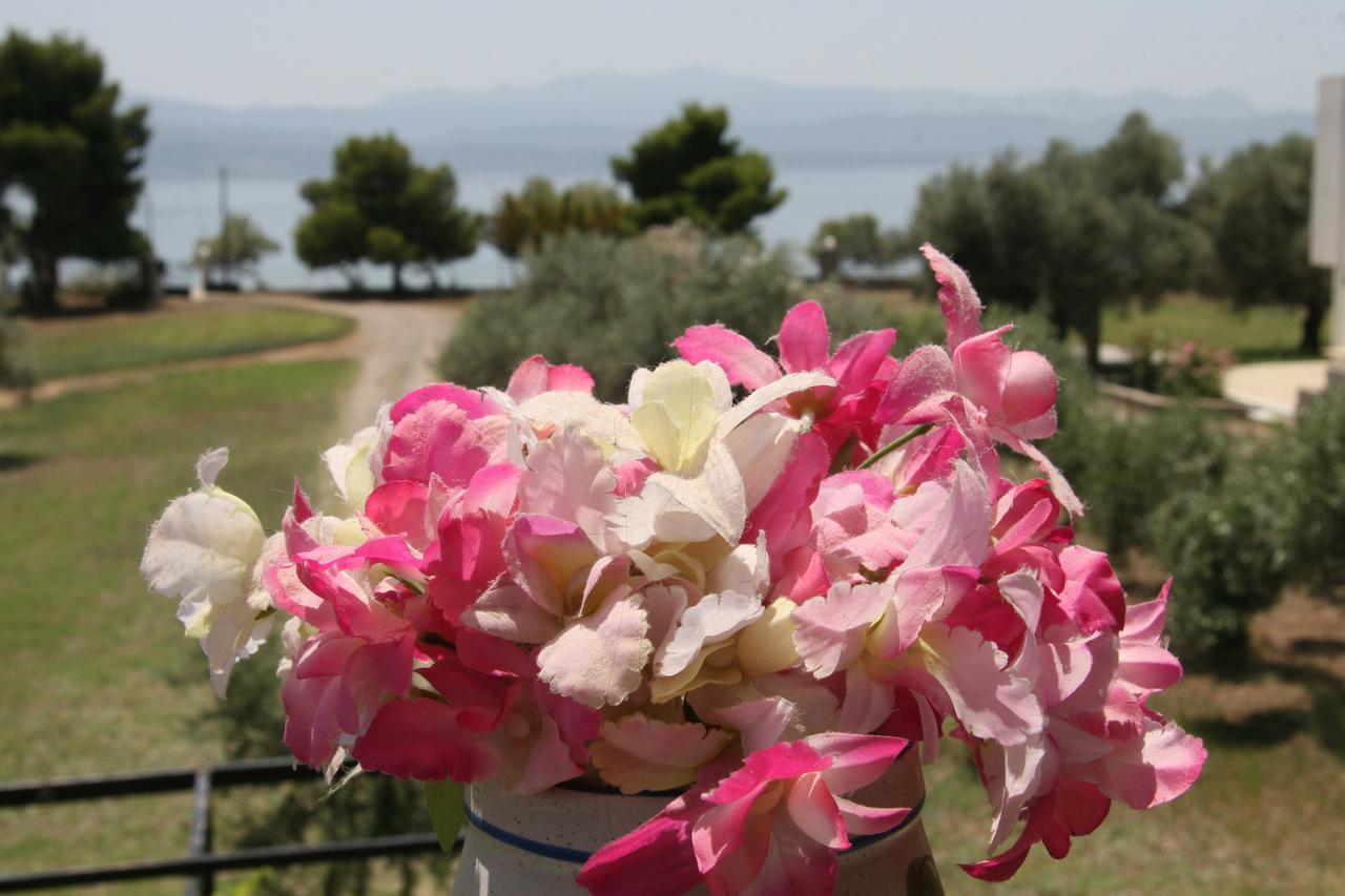 Villa Vlichos Αμάρυνθος Εξωτερικό φωτογραφία