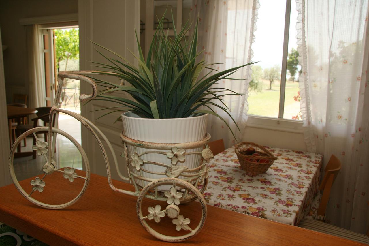 Villa Vlichos Αμάρυνθος Εξωτερικό φωτογραφία