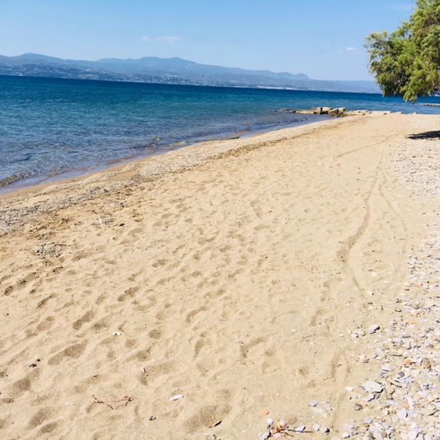 Villa Vlichos Αμάρυνθος Εξωτερικό φωτογραφία